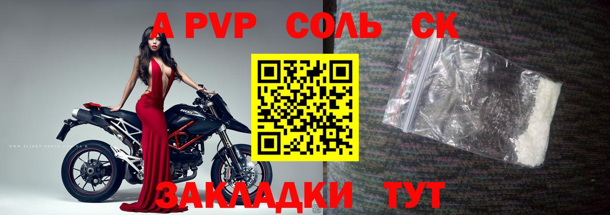 Alfa_PVP СК Коряжма