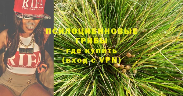 дурь Козловка