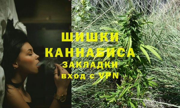 дурь Козловка