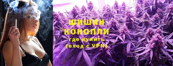 apvp Костерёво