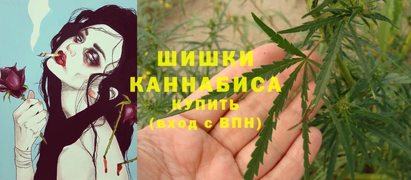 стаф Кинешма