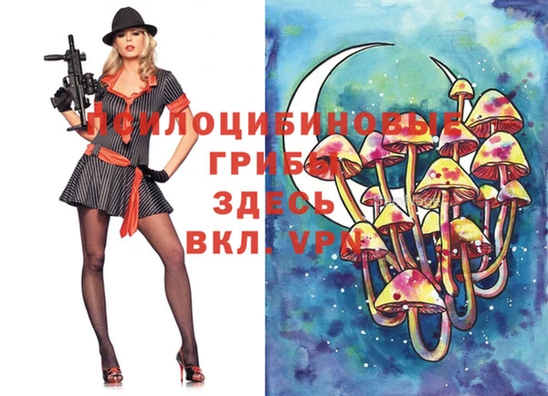 дурь Козловка