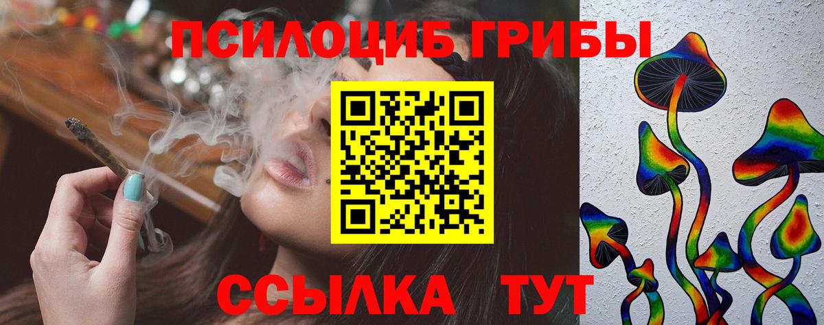 Галлюциногенные грибы Psilocybine cubensis Коряжма